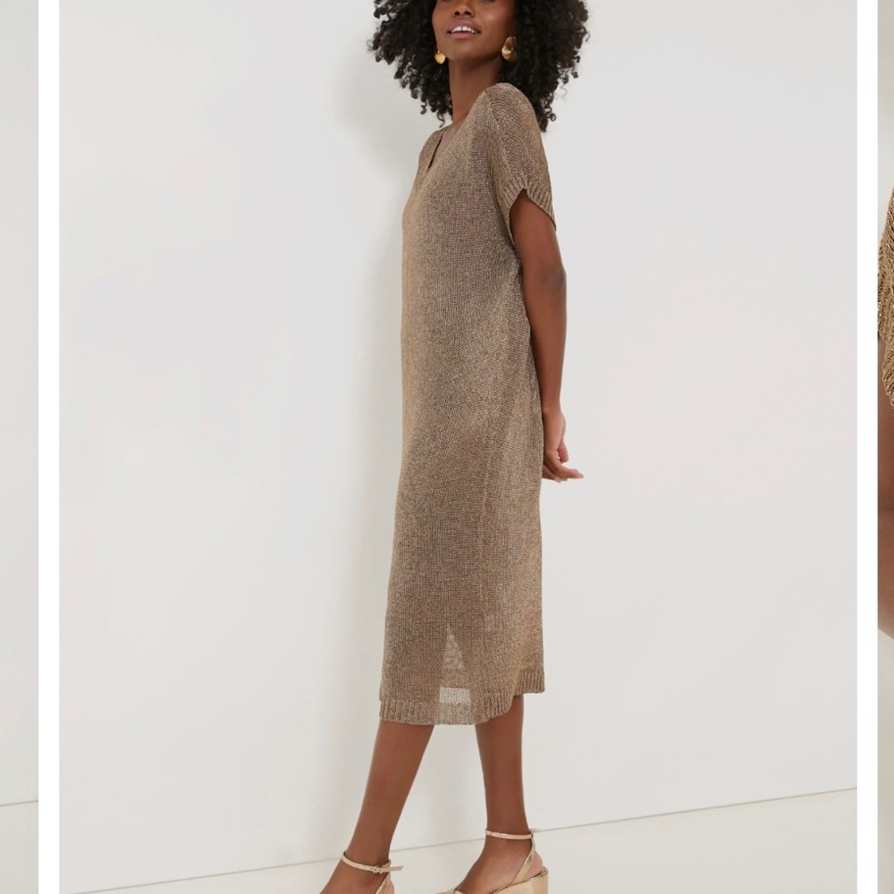 New never worn Tuckernuck bronze dress